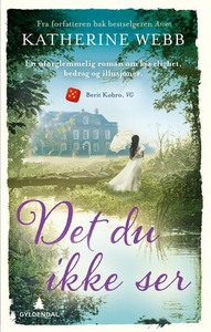 Det du ikke ser (ebok) av Katherine Webb