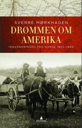 Drømmen om Amerika - innvandringen fra Norge 1825-1900 (ebok) av Sverre Mørkhagen