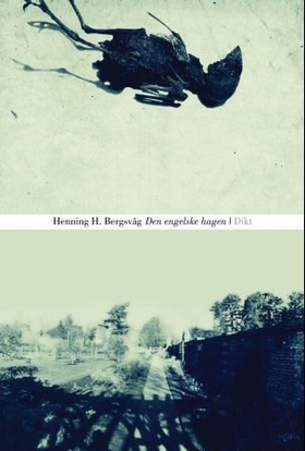 Den engelske hagen - dikt (ebok) av Henning H. Bergsvåg