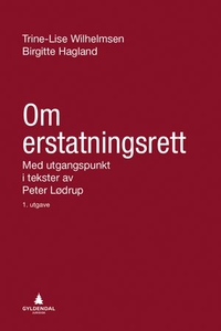 Om erstatningsrett (ebok) av Trine-Lise Wilhe