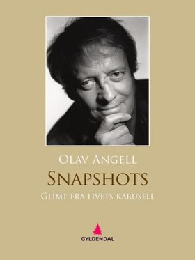 Snapshots (ebok) av Olav Angell