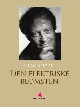 Den elektriske blomsten (ebok) av Olav Angell