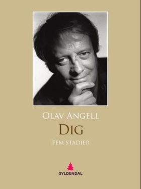 Dig - fem stadier (ebok) av Olav Angell