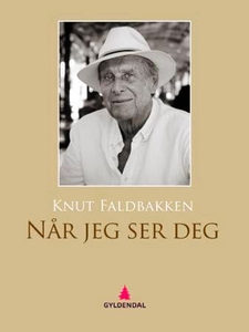 Når jeg ser deg (ebok) av Knut Faldbakken