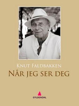 Når jeg ser deg - roman (ebok) av Knut Faldbakken