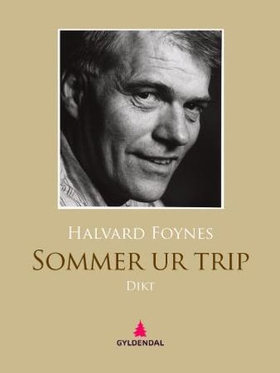 Sommer ur trip - dikt (ebok) av Halvard Foynes
