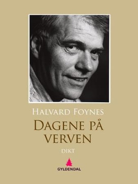 Dagene på verven (ebok) av Halvard Foynes