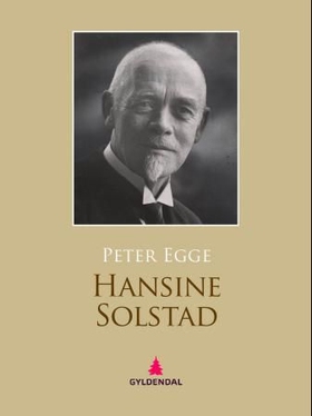 Hansine Solstad (ebok) av Peter Egge