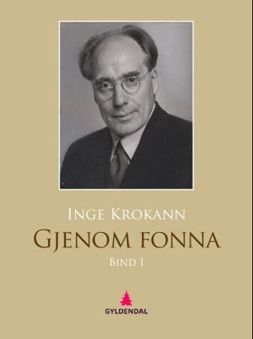 Gjenom fonna I - roman (ebok) av Inge Krokann