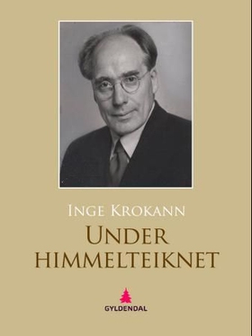 Under himmelteiknet - roman (ebok) av Inge Krokann