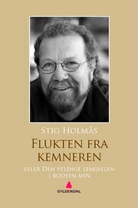 Flukten fra kemneren, eller Den veldige lengselen i bodyen min - roman (ebok) av Stig Holmås