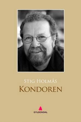 Kondoren - roman (ebok) av Stig Holmås