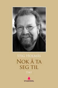 Nok å ta seg til (ebok) av Stig Holmås