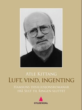 Luft, vind, ingenting - Hamsuns desillusjonsromanar frå Sult til Ringen sluttet (ebok) av Atle Kittang