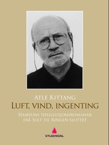 Luft, vind, ingenting (ebok) av Atle Kittang