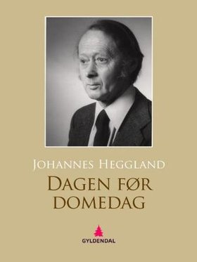Dagen før domedag - roman (ebok) av Johannes Heggland