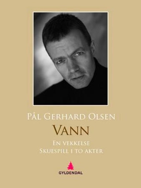 Vann (ebok) av Pål Gerhard Olsen