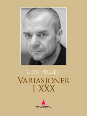 Variasjonar I-XXX - dikt (ebok) av Geir Pollen