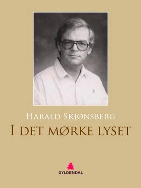 I det mørke lyset - roman (ebok) av Harald Skjønsberg
