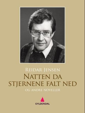 Natten da stjernene falt ned og andre noveller (ebok) av Reidar Jensen