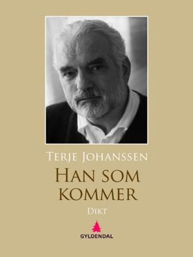 Han som kommer (ebok) av Terje Johanssen
