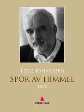 Spor av himmel - dikt (ebok) av Terje Johanssen