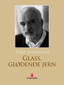 Glass, glødende jern (ebok) av Terje Johansse