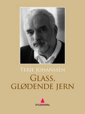 Glass, glødende jern - dikt (ebok) av Terje Johanssen