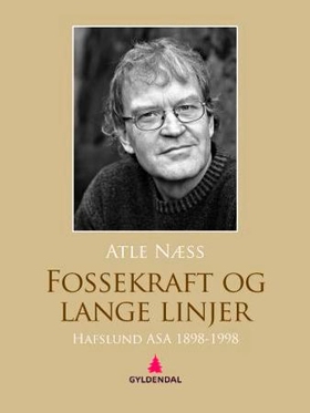 Fossekraft og lange linjer - Hafslund ASA 1898-1998 - en fortelling om kraft, mennesker og kapital gjennom hundre år (ebok) av Atle Næss