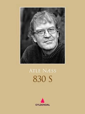 830 S - roman (ebok) av Atle Næss