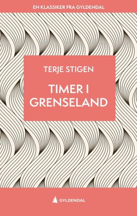 Timer i grenseland - roman (ebok) av Terje Stigen