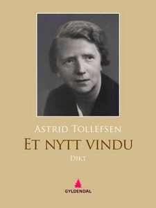 Et nytt vindu (ebok) av Astrid Tollefsen