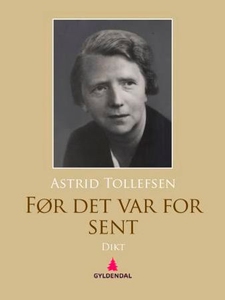 Før det var for sent (ebok) av Astrid Tollefs
