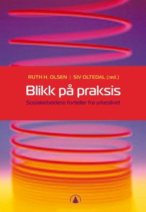 Blikk på praksis (ebok) av