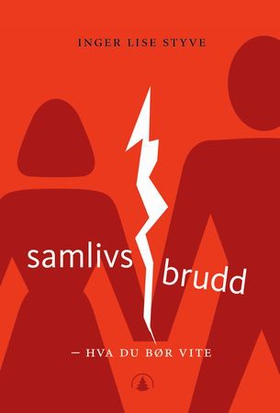 Samlivsbrudd - hva du bør vite (ebok) av Inger Lise Styve