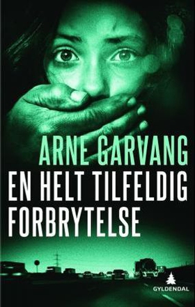En helt tilfeldig forbrytelse - kriminalroman (ebok) av Arne Garvang