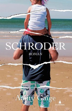 Schroder (ebok) av Amity Gaige