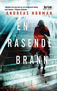 En rasende brann (ebok) av Anders Norman, And