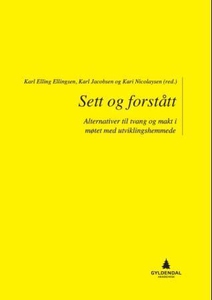 Sett og forstått (ebok) av