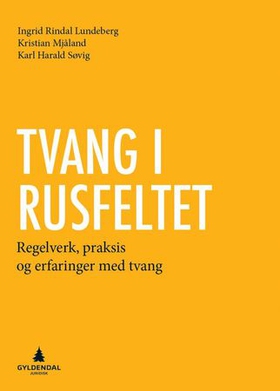 Tvang i rusfeltet - regelverk, praksis og erfaringer med tvang (ebok) av Ingrid Rindal Lundeberg