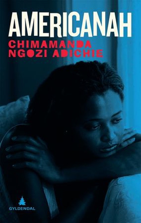Americanah (ebok) av Chimamanda Ngozi Adichie