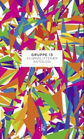 Gruppe 13 (ebok) av