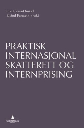 Praktisk internasjonal skatterett og internprising