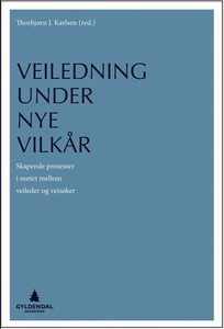 Veiledning under nye vilkår (ebok) av
