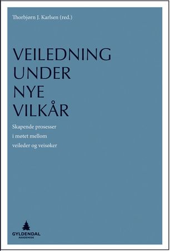 Veiledning under nye vilkår