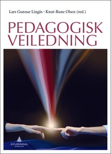 Pedagogisk veiledning (ebok) av