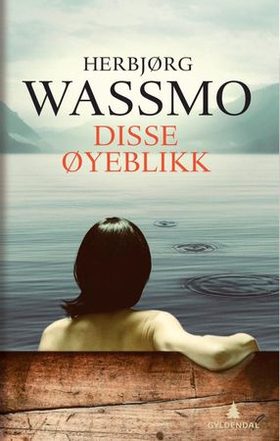 Disse øyeblikk - roman (ebok) av Herbjørg Wassmo