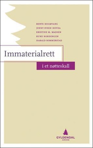 Immaterialrett i et nøtteskall (ebok) av Bent