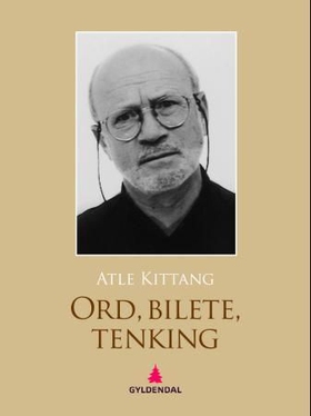 Ord, bilete, tenking - artiklar om fiksjonar (ebok) av Atle Kittang