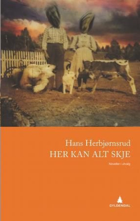 Her kan alt skje - noveller i utvalg (ebok) av Hans Herbjørnsrud